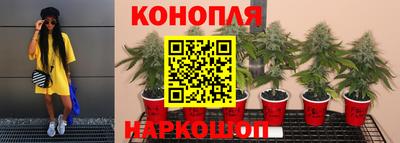 соль курить ск Владивосток