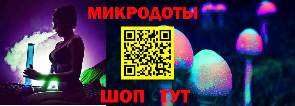 Галлюциногенные грибы Psilocybine cubensis Сатка